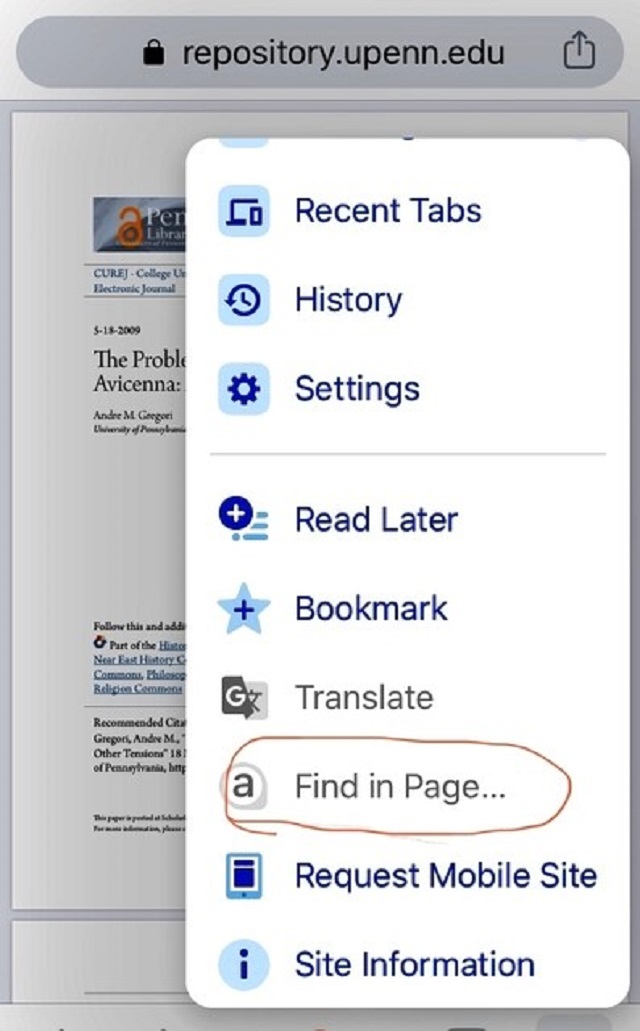 Mở ra tính năng Find bằng cách chọn mục Find in Page.