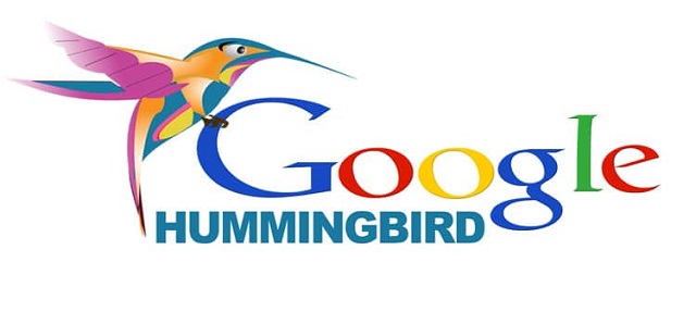 Google Hummingbird là gì? Tìm hiểu thuật toán Hummingbird từ A-Z